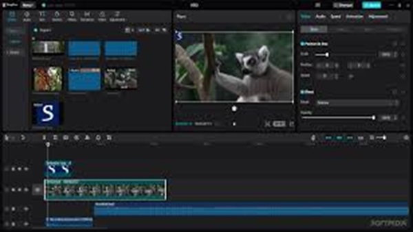 why is capcut not working on my pc